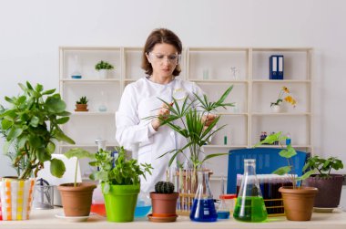 Laboratuvarda çalışan yaşlı kadın biyoteknoloji kimyageri.