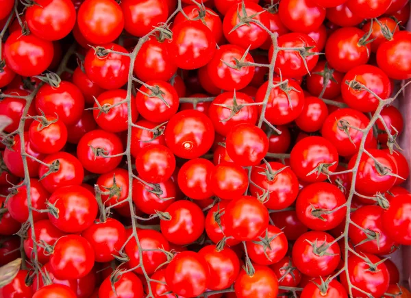 Tomates no mercado stall exibição — Fotografia de Stock