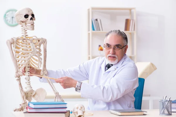 İskeleti olan yaşlı erkek doktor. — Stok fotoğraf