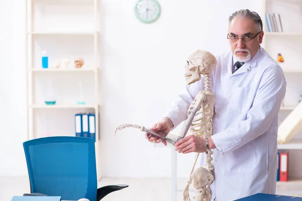 Aged male doctor with skeleton — Stock Photo, Image