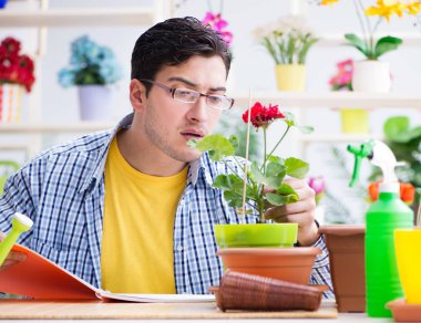 Bahçıvan çiçekçide çalışıyor. Çiçekçide çalışıyor.