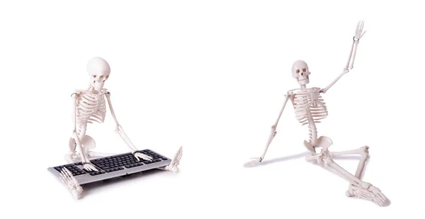 Grappige Skeleton werken op de computer — Stockfoto