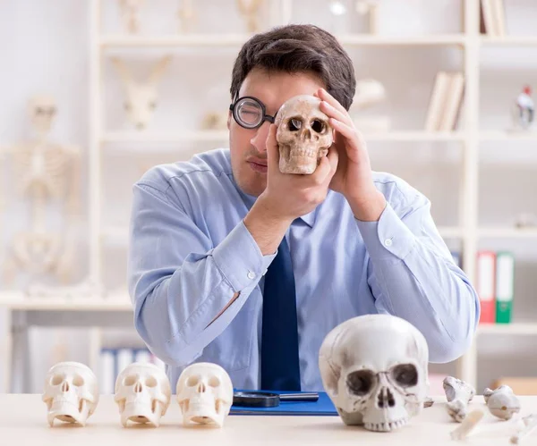 Profesor loco divertido estudiando esqueleto humano — Foto de Stock