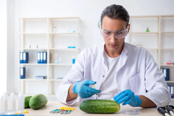 Mannelijke voeding expert testen van groenten in het lab — Stockfoto