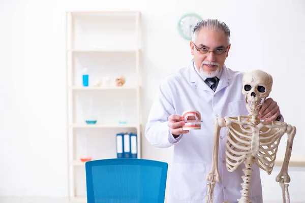 Aged male doctor with skeleton — Stock Photo, Image