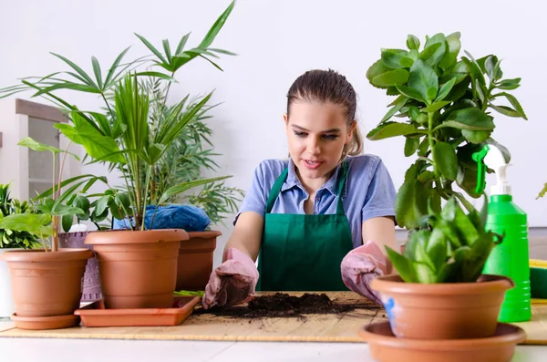 Junge Gärtnerin mit Pflanzen im Haus — Stockfoto