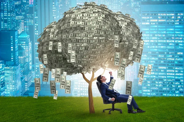 Biznesmen z drzewa pieniędzy w koncepcji biznesu — Zdjęcie stockowe