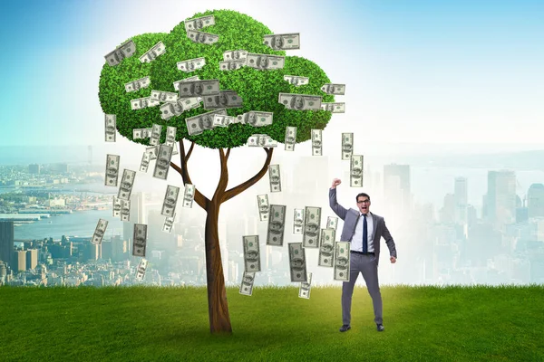 Homme d'affaires avec arbre de l'argent dans le concept d'entreprise — Photo