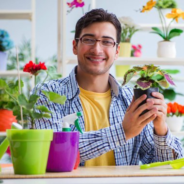 Çiçekçide çalışan genç bir adam.