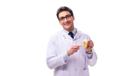 Genç erkek doktor stomatolog beyazı izole etmiş.