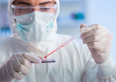 Laboratuvar asistanı hastanede kan örneklerini test ediyor.