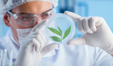 Erkek bilim adamı bir laboratuarda deney yapıyor.