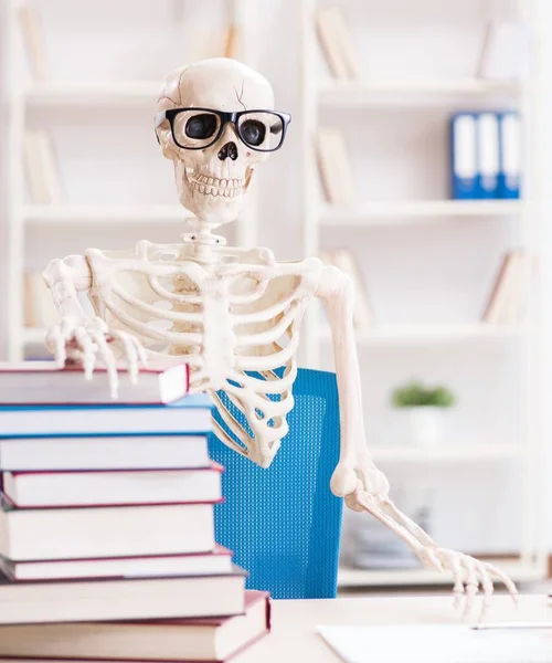 Студенческий скелет готовится к экзаменам — стоковое фото