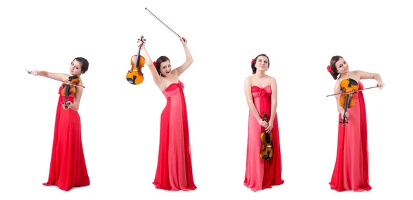 Chica joven con violín en blanco — Foto de Stock