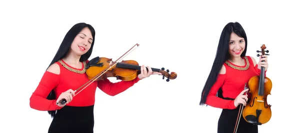 Chica joven con violín en blanco —  Fotos de Stock