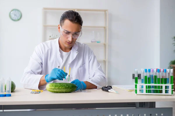 Experto en nutrición masculina prueba de verduras en laboratorio — Foto de Stock