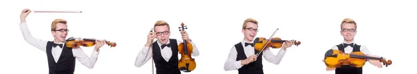 Grappige vioolspeler op wit — Stockfoto