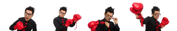 Hombre hombre de negocios con guantes de boxeo rojo — Foto de Stock