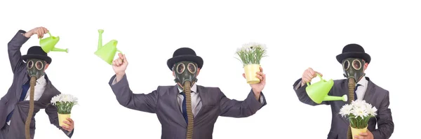 Бізнесмен в газовій масці ізольований на білому — стокове фото
