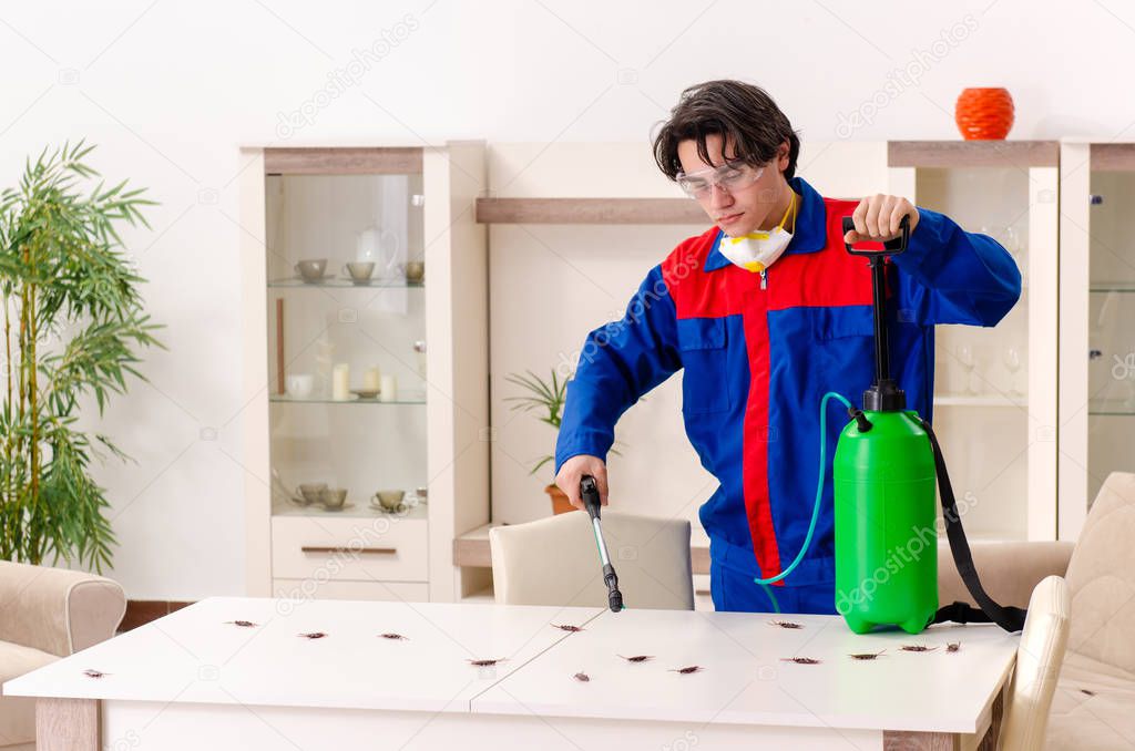 Young contractor doing pest control at home