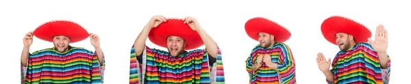 Grappig Mexicaans geïsoleerd op wit — Stockfoto