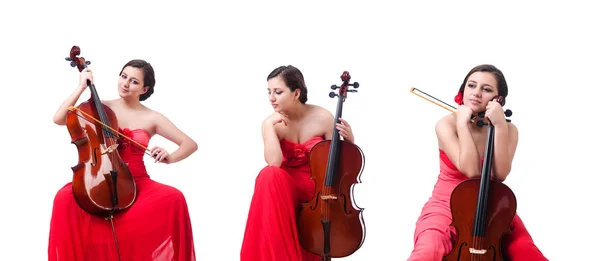 Young girl with violin on white — Stock Photo, Image