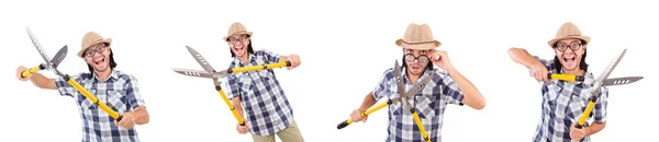 Funny guy with garden shears on white — Stock Photo, Image