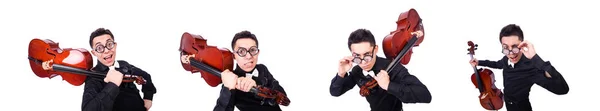 Lustiger Mann mit Geige auf Weiß — Stockfoto