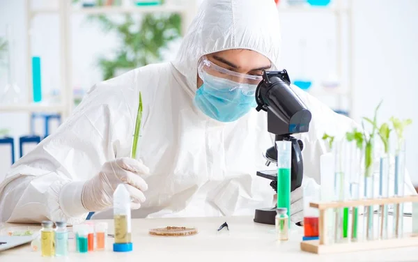 Bioquímico masculino trabalhando no laboratório em plantas — Fotografia de Stock