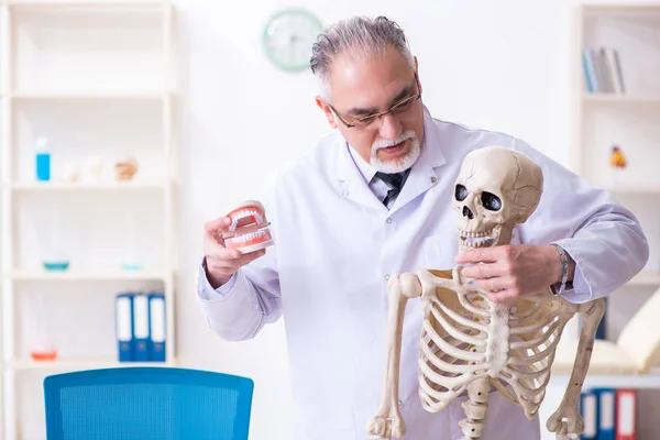 Пожилой врач со скелетом — стоковое фото