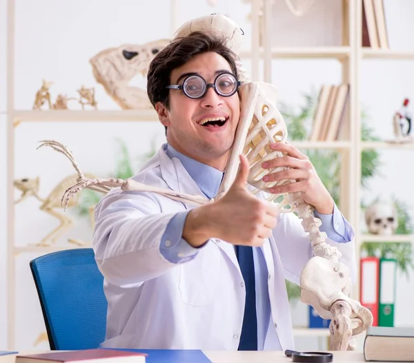 Profesor loco estudiando esqueleto humano — Foto de Stock