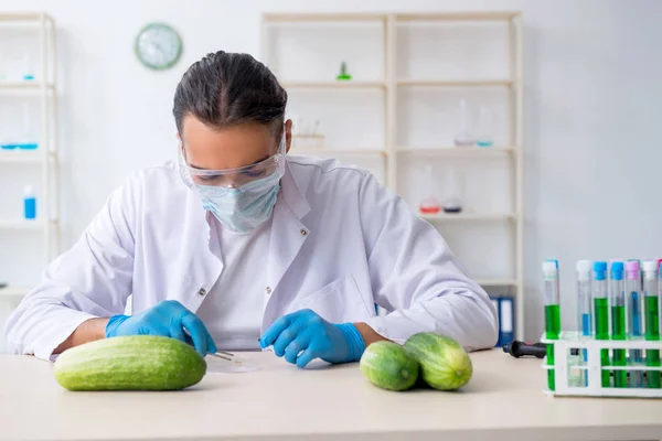 Mannelijke voeding expert testen van groenten in het lab — Stockfoto
