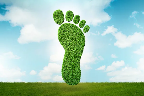 CO2-Fußabdruck-Konzept - 3D-Rendering — Stockfoto