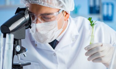 Laboratuvarda bilim adamıyla biyoteknoloji kavramı