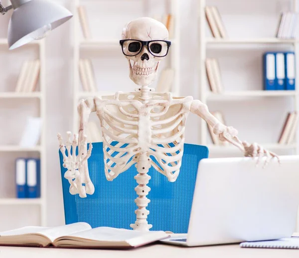 Student skeleton preparing for exams — Stock Photo, Image