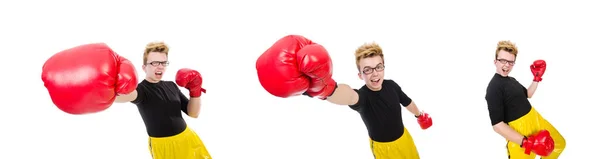 Vicces bokszoló elszigetelt a fehér háttér — Stock Fotó
