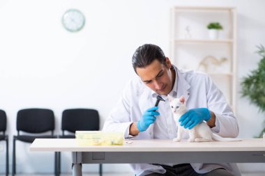 Genç erkek doktor hasta kediyi muayene ediyor.