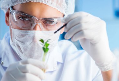 Laboratuvarda bilim adamıyla biyoteknoloji kavramı