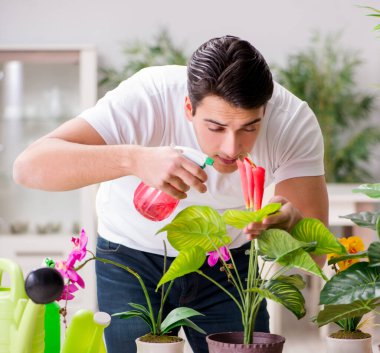 Adam evde bitki Bakımı