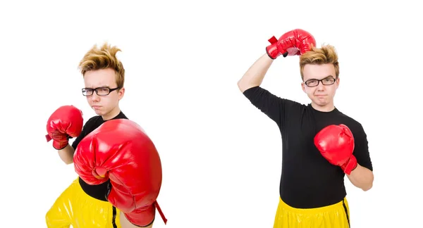 Grappige bokser geïsoleerd op de witte achtergrond — Stockfoto