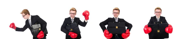 Junger Geschäftsmann Boxer isoliert auf Weiß — Stockfoto