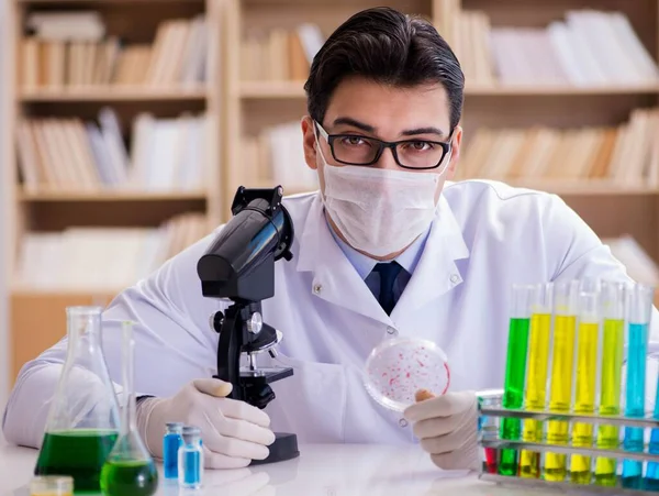 Dokter die virusbacteriën in het lab bestudeert — Stockfoto