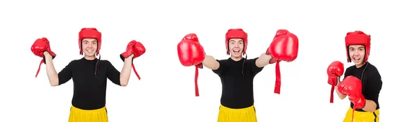 Zabawny bokser odizolowany na białym tle — Zdjęcie stockowe