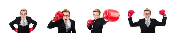 Young businessman boxer isolated on white — Stock Photo, Image