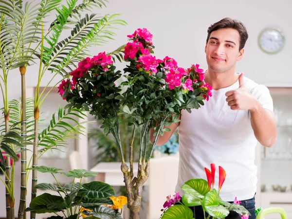 El hombre cuidando las plantas en casa — Foto de Stock