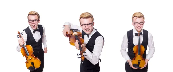 Grappige vioolspeler op wit — Stockfoto