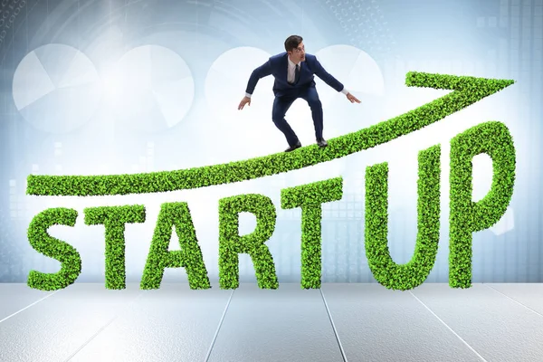 Concept of green start-up and venture capital — Stock Photo, Image