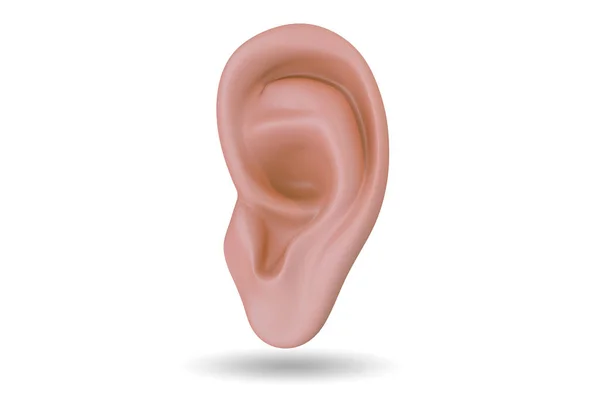 Human ear in medical concept - 3d rendering — 图库照片