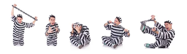 백인들에게 고립된 재미있는 죄수들 — 스톡 사진