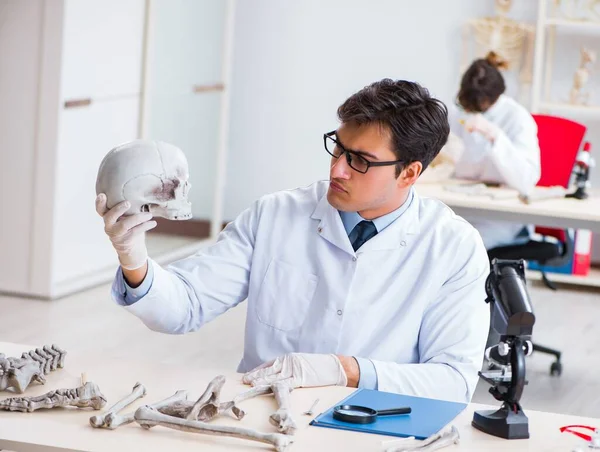 Professor estudando esqueleto humano em laboratório — Fotografia de Stock